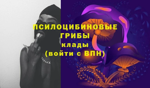 гидропоника Медногорск