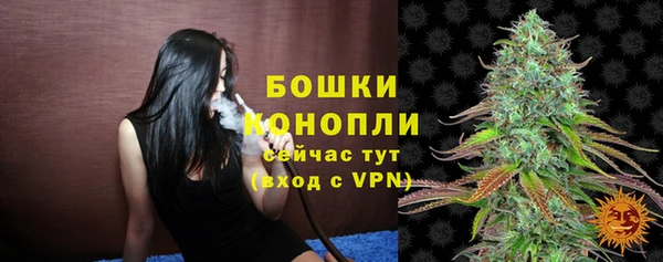 гидропоника Медногорск