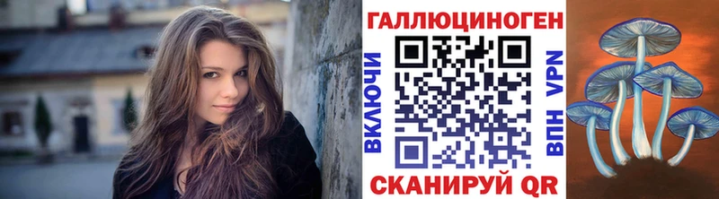 Галлюциногенные грибы Psilocybine cubensis  Дятьково 