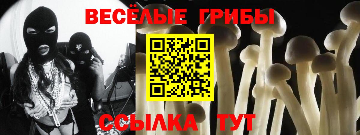 Галлюциногенные грибы прущие грибы Дятьково