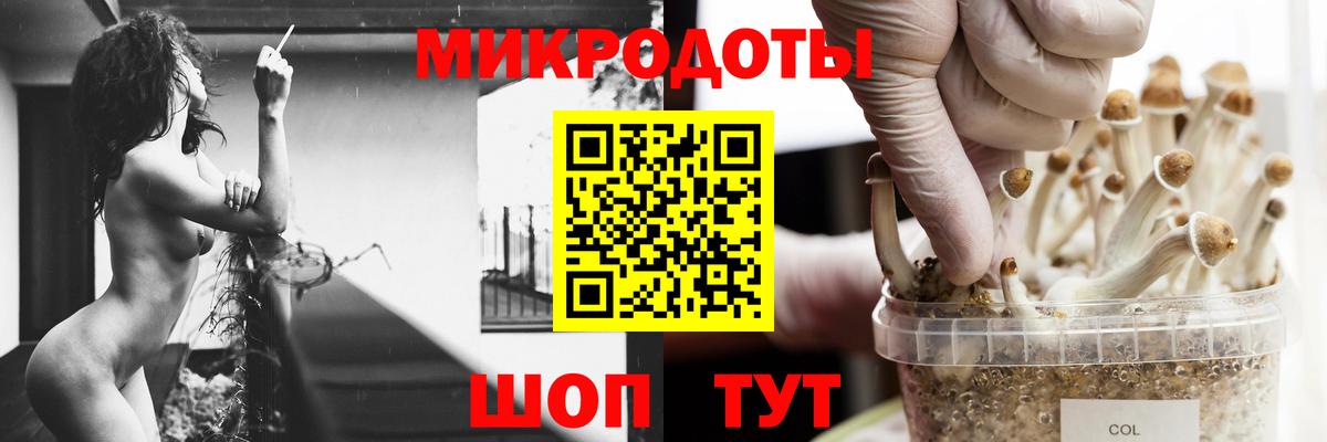 Галлюциногенные грибы GOLDEN TEACHER  Вход с VPN  Псилоцибиновые грибы мухоморы  Дятьково 