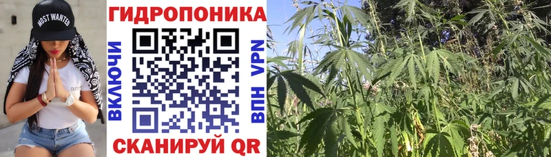 Конопля THC 21%  blacksprut зеркало  Дятьково 